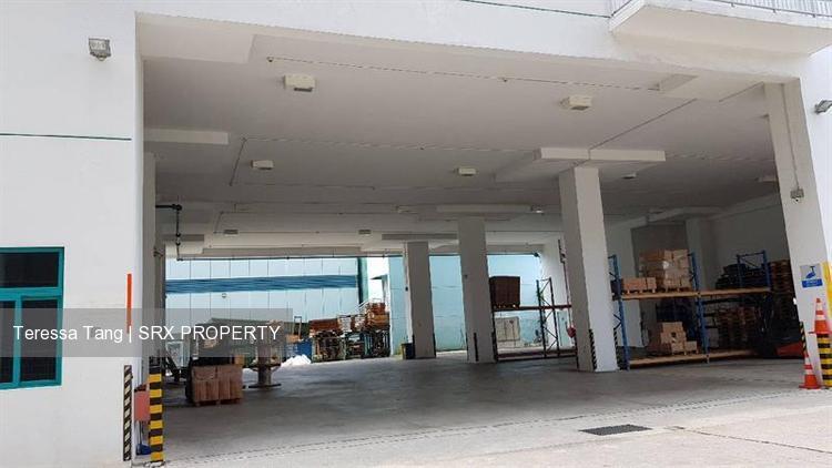Loyang Industrial Estate (D17), Warehouse #209845811